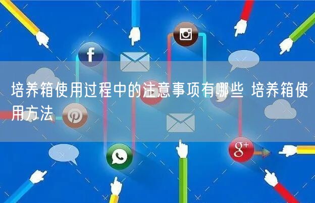培養(yǎng)箱使用過程中的注意事項(xiàng)有哪些 培養(yǎng)箱使用方法(圖1)